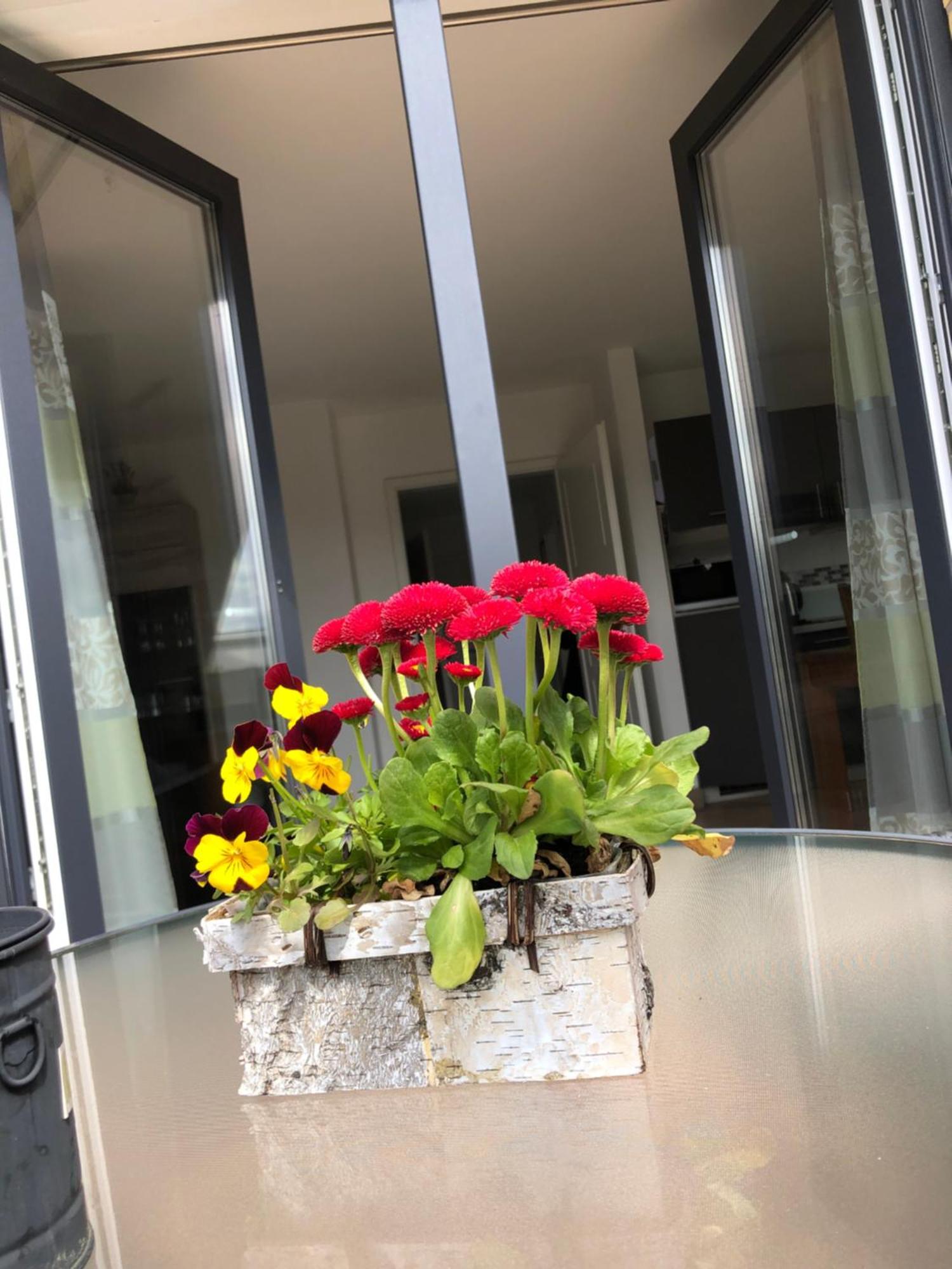 Haus Hanni Priepert Exteriér fotografie